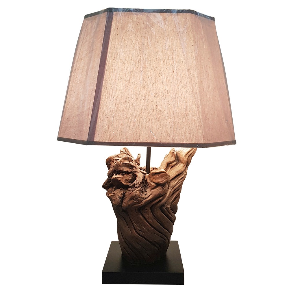 Bromeliad lamp