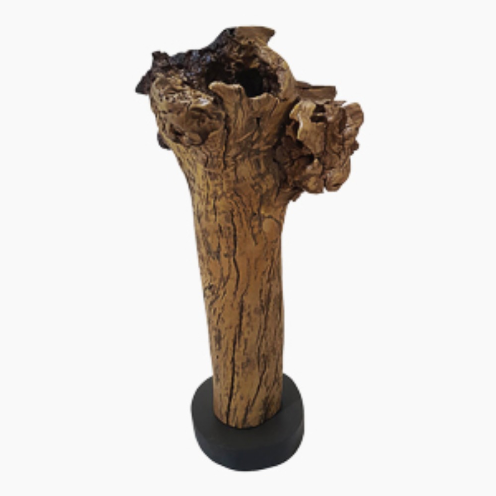 Escultura Cacique