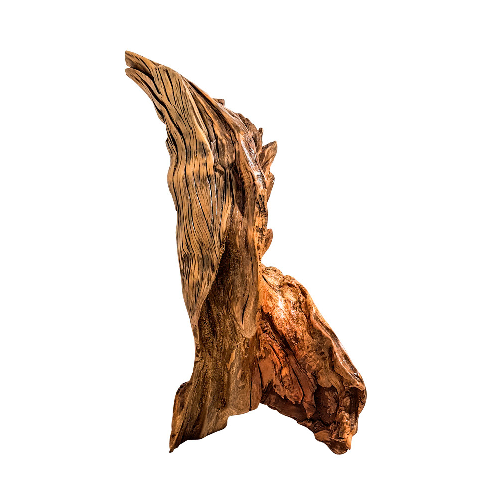 Escultura Torcida