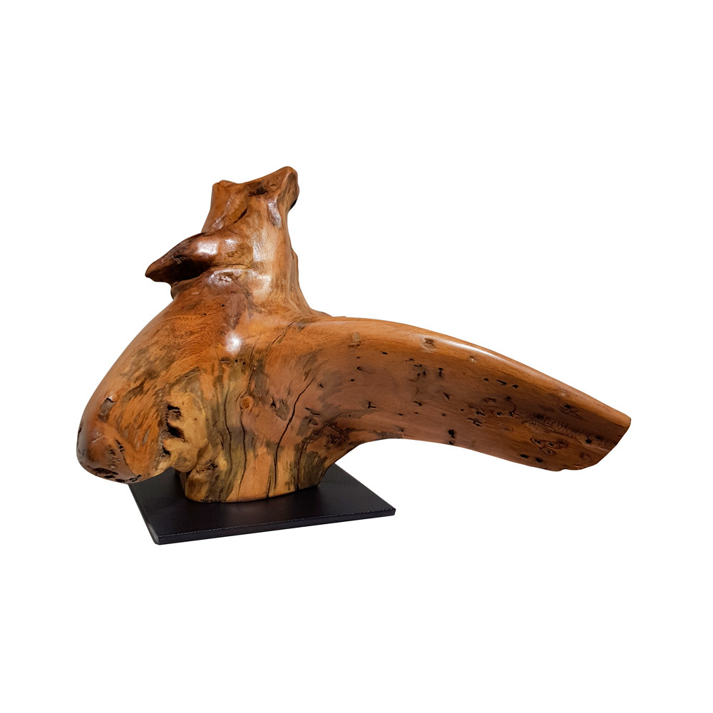 Escultura Braços