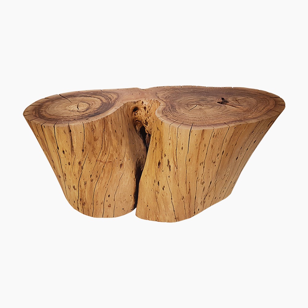 Twin Coffee Table