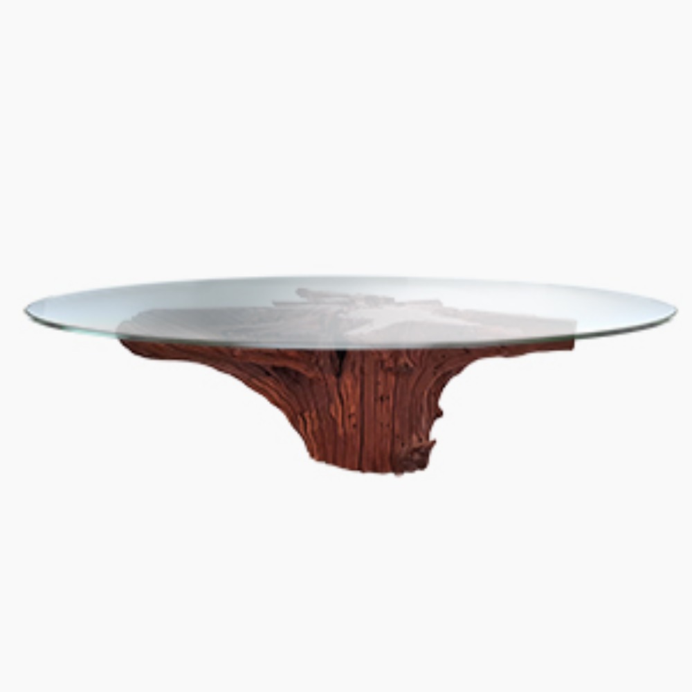 Coffee Table Riacho - Raiz