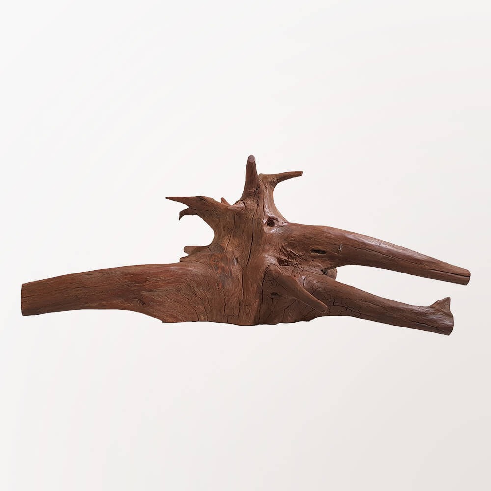 Escultura Polvo