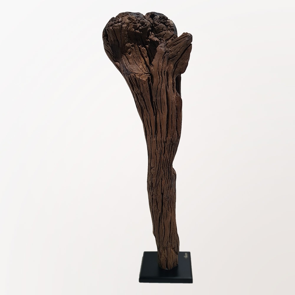 Escultura Super Tocha