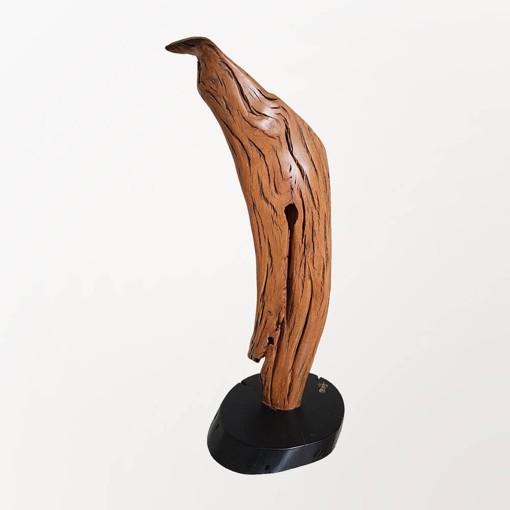Escultura Pena