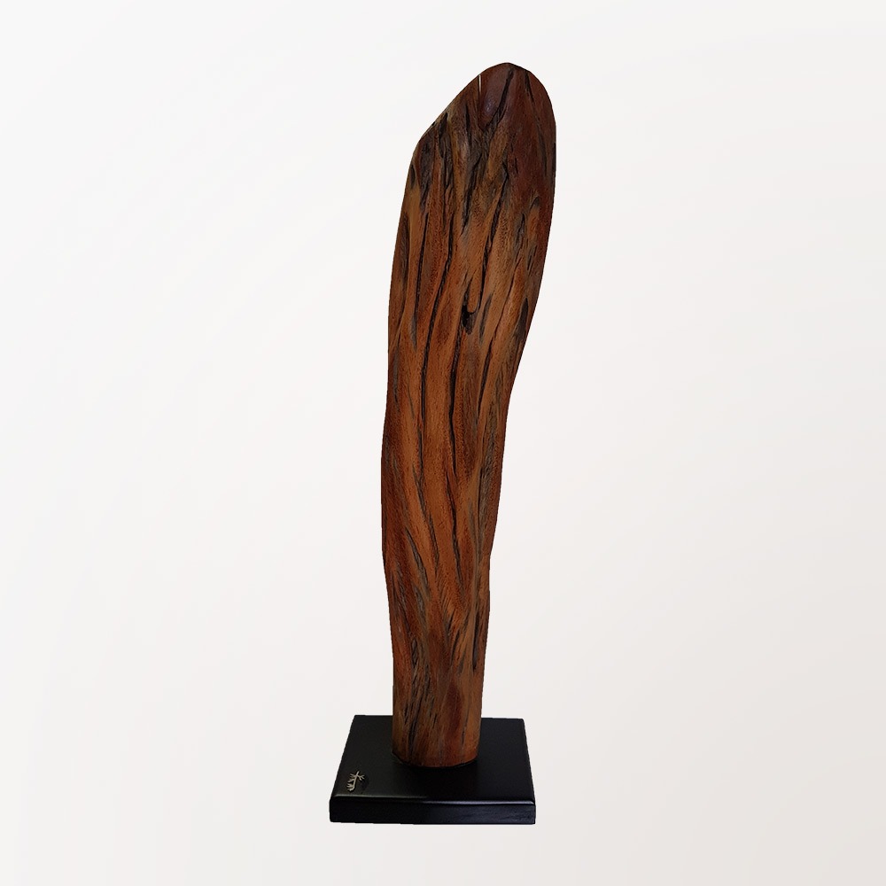 Escultura Cerne