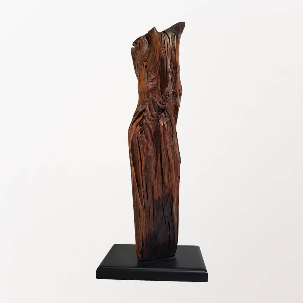 Escultura Penacho