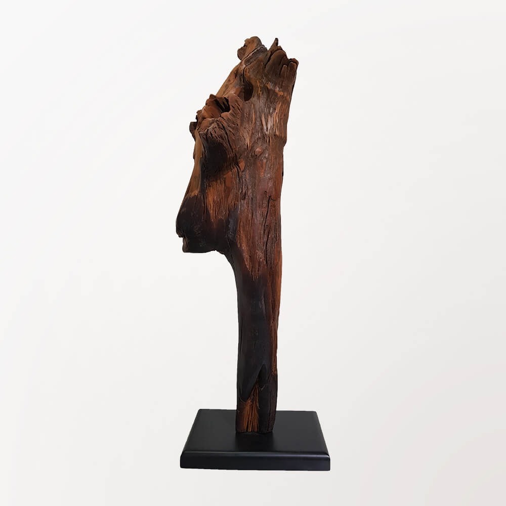 Escultura Carranca