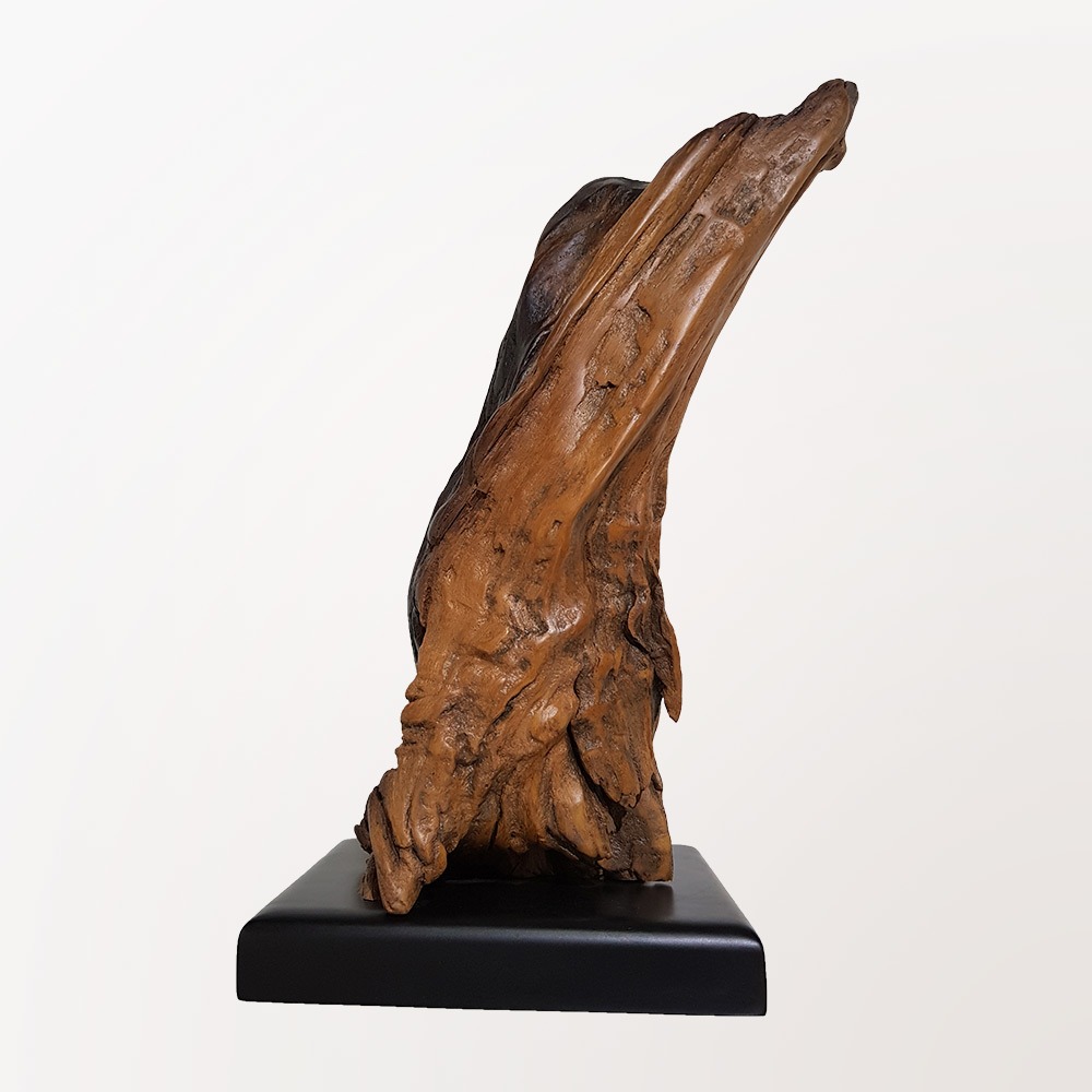 Escultura Pata