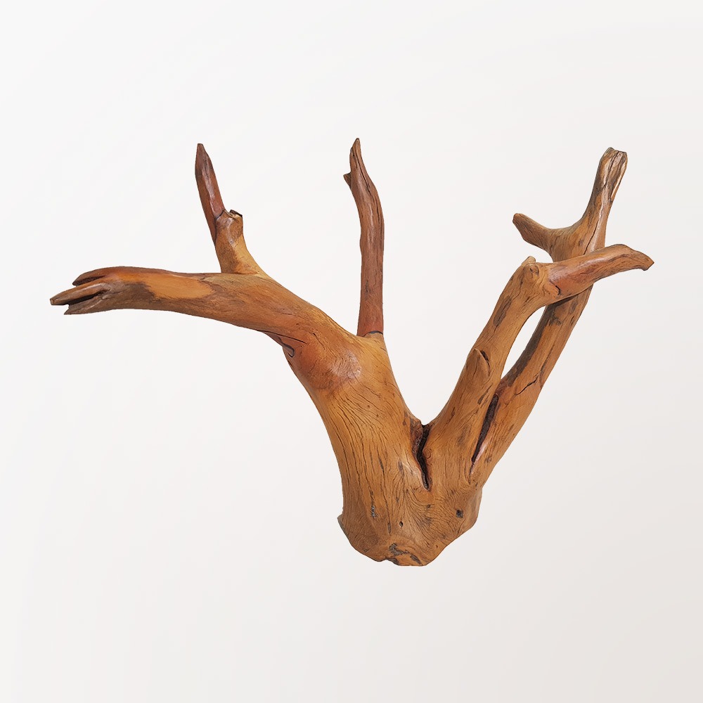 Elk Horn Sculpture