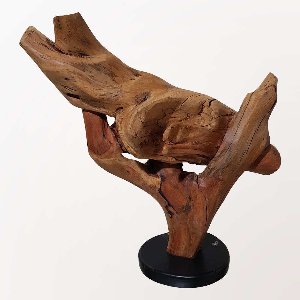 Superimposed Sculpture