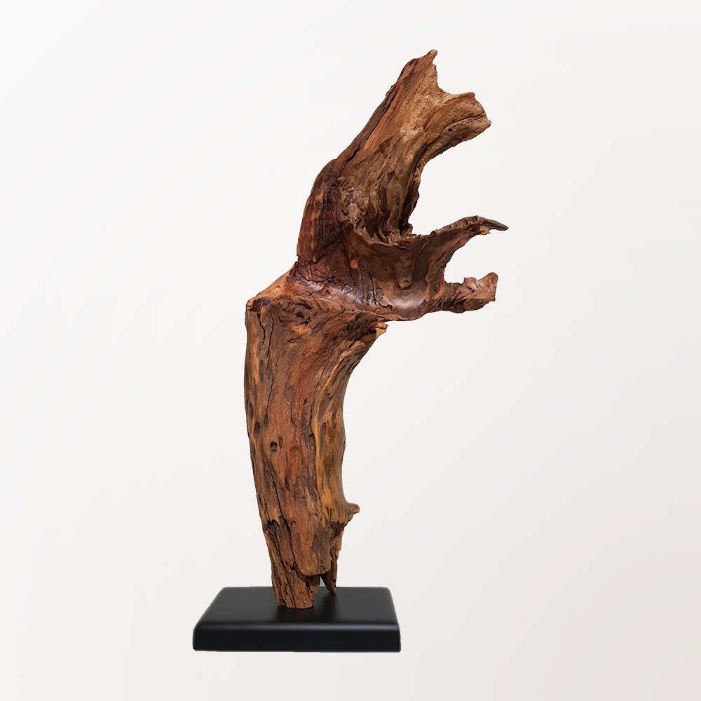 Concave Sculpture