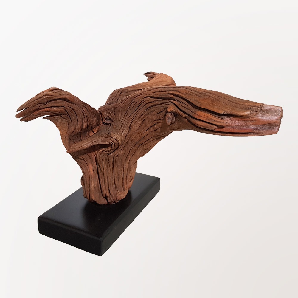 Toucan Sculpture