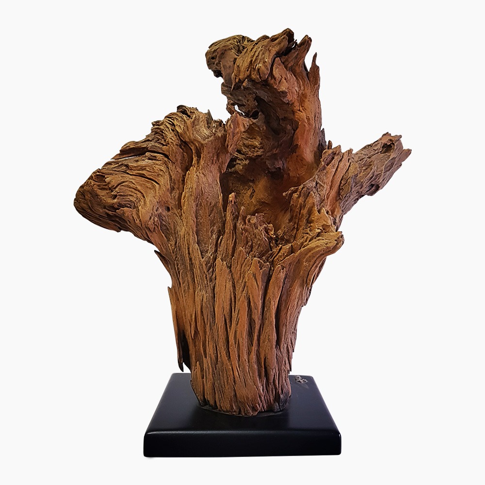 Bromeliad Sculpture
